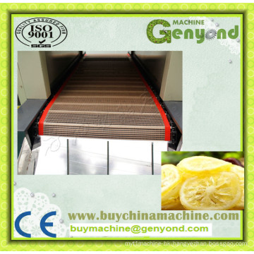 High Efficient Belt Tunnel Type Sliced Fruit and Vegetable Drying Machine